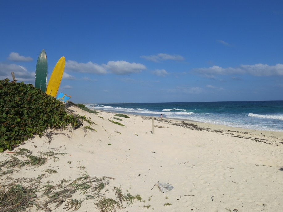 Beaches on west side of Cozumel are vast and unspoilde.