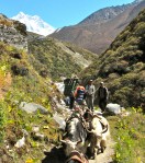 Path to Mount&nbsp;Everest
